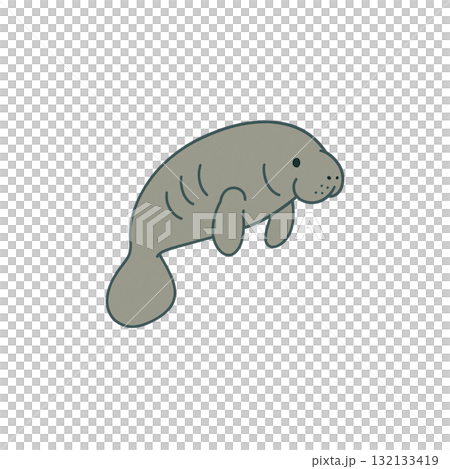 ジュゴンのカラーアイコン、素材、背景なし、資料作り、動物 132133419