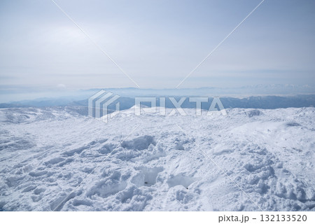 山形県　蔵王温泉スキー場　白銀世界の樹氷 132133520
