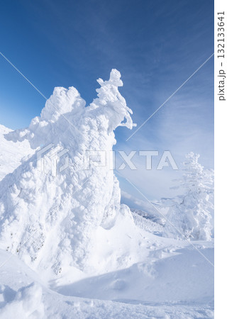山形県　蔵王温泉スキー場　白銀世界の樹氷 132133641