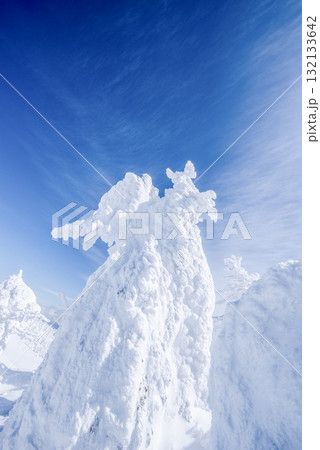 山形県　蔵王温泉スキー場　白銀世界の樹氷 132133642