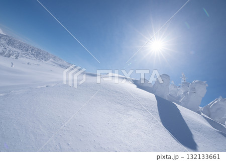山形県 蔵王温泉スキー場 白銀世界の樹氷 山形県 蔵王温泉スキー場 白銀世界の樹氷 132133661