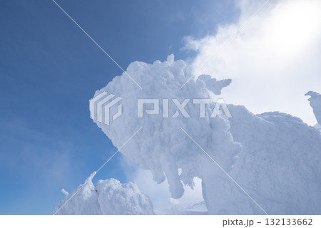山形県　蔵王温泉スキー場　白銀世界の樹氷 132133662