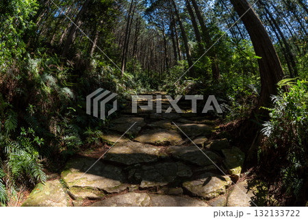 三重県　熊野古道　馬越峠  132133722