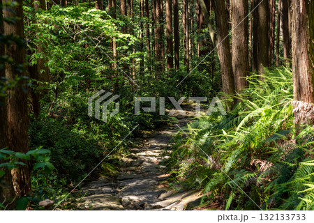 三重県　熊野古道　馬越峠  132133733
