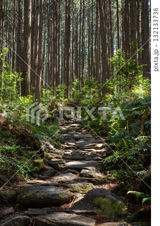 三重県　熊野古道　馬越峠  132133736