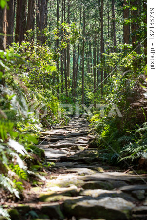 三重県　熊野古道　馬越峠  132133739