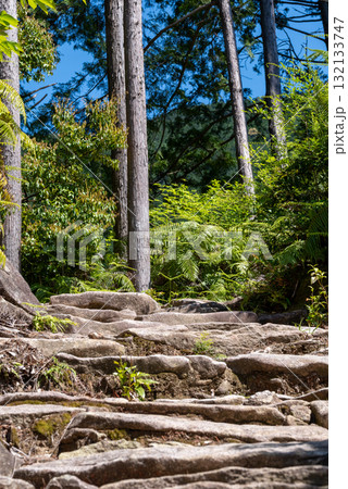 三重県　熊野古道　馬越峠  132133747