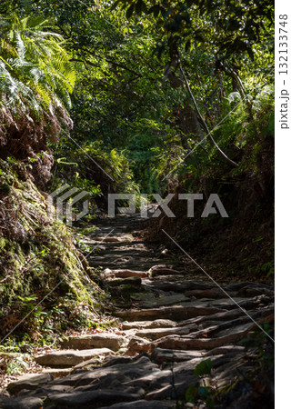 三重県　熊野古道　馬越峠  132133748