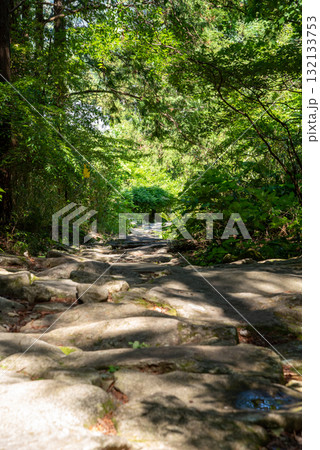 三重県　熊野古道　馬越峠  132133753