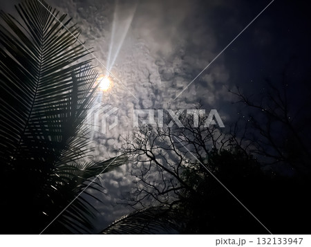 A dramatic night sky with moonlight shining through tropical palm leaves and clouds A dramatic night sky with moonlight shining through tropical palm leaves and clouds 132133947