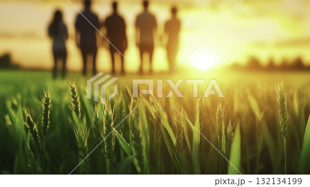 Group of Friends Enjoying Sunset in a Beautiful Field with Vibrant Green Grass Group of Friends Enjoying Sunset in a Beautiful Field with Vibrant Green Grass 132134199