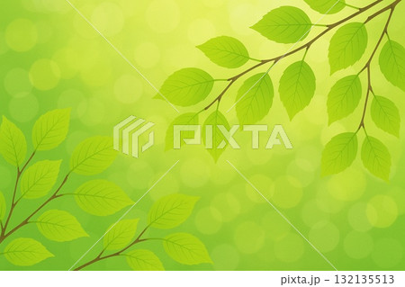 新緑　ブナの葉　エコイメージ　ベクター　 132135513