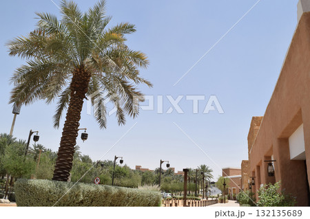 サウジアラビア・リヤド郊外 ディルイーヤの街並み サウジアラビア・リヤド郊外 ディルイーヤの街並み 132135689