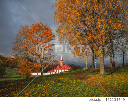 Bright autumn landscape with golden trees, Gatchina 132135749