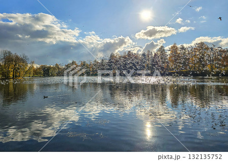 Many birds flying on blue sky. Many birds flying on blue sky. 132135752