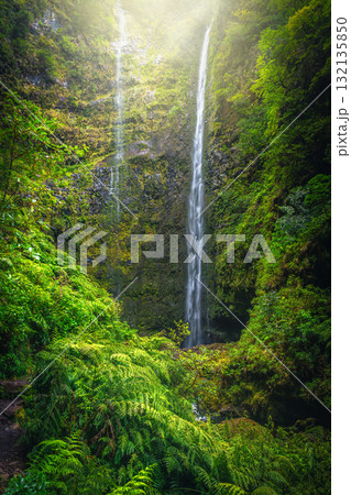 Waterfall near the famous Caldeirao Verde levada trail, Madeira Island Waterfall near the famous Caldeirao Verde levada trail, Madeira Island 132135850