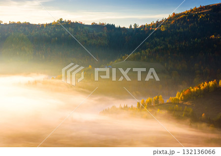 apuseni mountain landscape in autumn fog. travel background with colorful forest on the hill in dense glowing mist. countryside of romania in morning light. adventure atmosphere in magic weather apuseni mountain landscape in autumn fog. travel background with colorful forest on the hill in dense glowing mist. countryside of romania in morning light. adventure atmosphere in magic weather 132136066