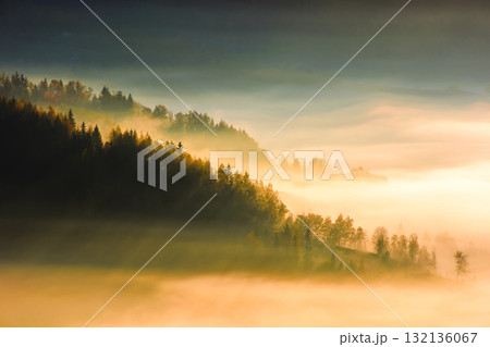 apuseni mountain landscape in autumn fog. travel background with coniferous forest on the hill in dense glowing mist. countryside of romania in morning light. adventure atmosphere in magic weather apuseni mountain landscape in autumn fog. travel background with coniferous forest on the hill in dense glowing mist. countryside of romania in morning light. adventure atmosphere in magic weather 132136067