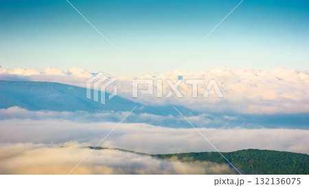 spring mountain landscape of ukraine with fog in valley and clouds on blue sky in morning light. dramatic atmosphere phenomenon view from the top. evaporating forest on the hills of carpathians 132136075