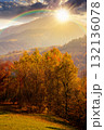 mountain landscape in autumn at sunset. colorful forest on hills in evening light. beautiful view of carpathian rural valley in fall season. scenic place with deciduous trees near meadow 132136078