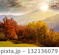 mountain landscape in autumn at sunset. colorful forest on hills in evening light. beautiful view of carpathian rural valley in fall season. scenic place with deciduous trees near meadow 132136079