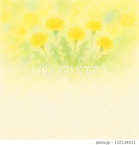たんぽぽシリーズ：水彩にじみとたんぽぽを描いたトップ型背景 132136311