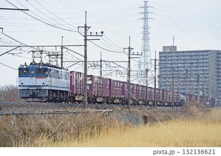 武蔵野線 東川口-東浦和 JR貨物 EF65-2081(新鶴見) 武蔵野線 東川口-東浦和 JR貨物 EF65-2081(新鶴見) 132136621