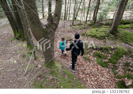 Exploring the tranquil forest trails with children as they navigate through fallen leaves and ancient trees in a peaceful autumn setting Exploring the tranquil forest trails with children as they navigate through fallen leaves and ancient trees in a peaceful autumn setting 132136762