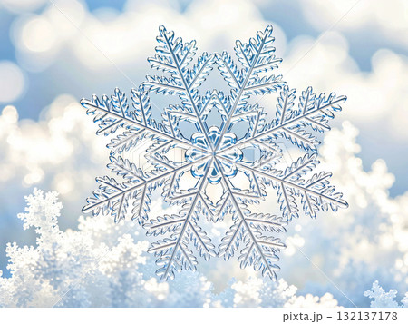 雪の結晶 雪の結晶 132137178