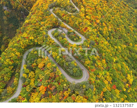 紅葉のエコーライン　空撮 132137587