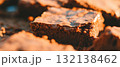 Deliciously rich brownies with a fudgy texture, perfect for dessert lovers. 132138462