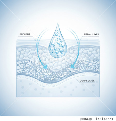Illustration showing hydration process with water droplet penetrating skin layers. Concept of skincare, moisture, and dermatology science.. Vector illustration 132138774