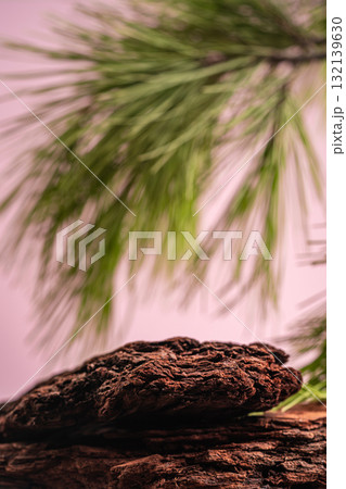 Natural wood texture with green leaves on soft pink background Natural wood texture with green leaves on soft pink background 132139630