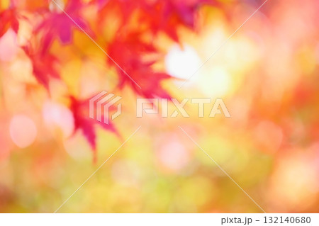 かえでの紅葉のアウトフォーカス 【ボケ】 【ぼかし】 132140680
