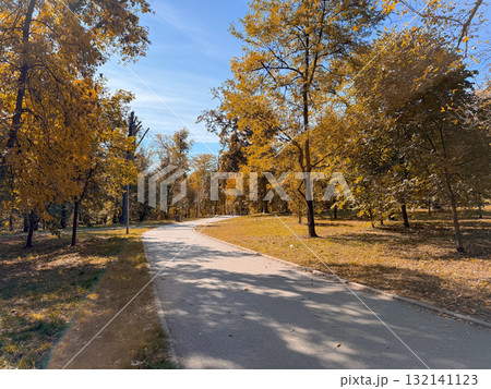 A sunlit park path curving through golden autumn trees and fallen leaves. Seasonal change, natural harmony, and peaceful reflection during a quiet afternoon walk. 132141123