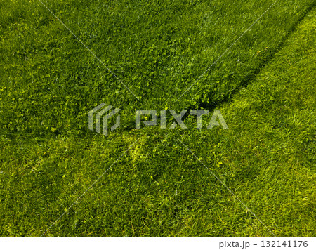 Lush green grass on sunny lawn during daytime with the boundary between the mown and unmown part of the lawn Lush green grass on sunny lawn during daytime with the boundary between the mown and unmown part of the lawn 132141176