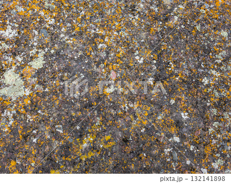 Textured rock with vibrant lichen in natural outdoor setting Textured rock with vibrant lichen in natural outdoor setting 132141898