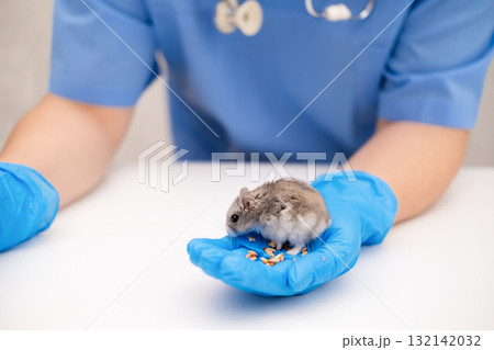 Veterinarian holding a hamster in his hand Veterinarian holding a hamster in his hand 132142032