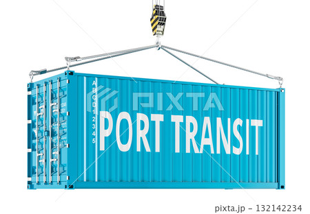 Port transit, shipping container on crane hook. 3D rendering Port transit, shipping container on crane hook. 3D rendering 132142234
