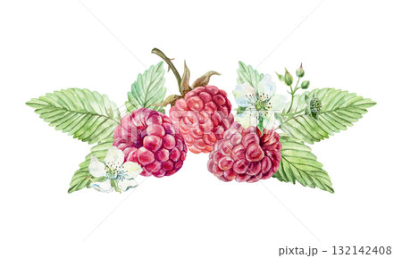 Raspberries, ripe berries, green leaves, white flowers. Hand drawn watercolor illustration. Vector clip art for juice, jam and marmalade labels. Suitable for postcard, cosmetic packaging. Raspberries, ripe berries, green leaves, white flowers. Hand drawn watercolor illustration. Vector clip art for juice, jam and marmalade labels. Suitable for postcard, cosmetic packaging. 132142408