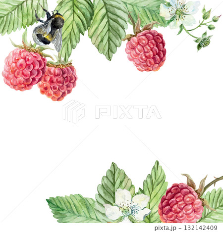 Raspberry branch frame. Ripe berries, green leaves and white flower. Hand drawn watercolor illustration. Vector clip art for juice, jam and marmalade labels. Suitable for postcards, cosmetic packaging 132142409