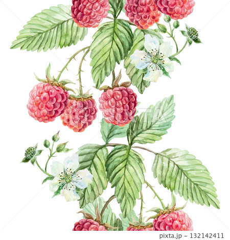 Raspberry seamless border. Ripe berries, green leaves and white flowers. Hand drawn watercolor illustration suitable for juice, jam and marmalade labels. Suitable for wrapping paper and textiles. 132142411