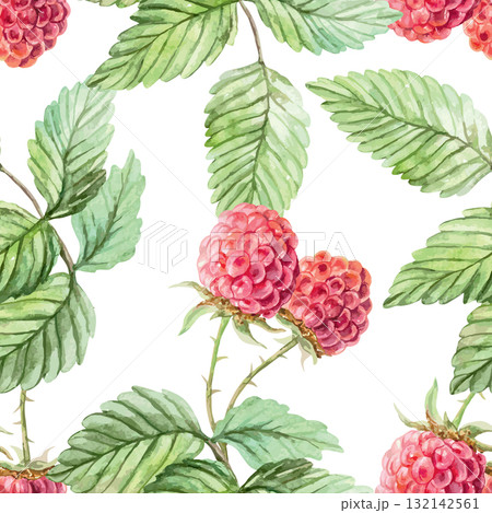 Raspberry seamless pattern. Ripe berries and green leaves. Hand drawn watercolor illustration for juice, jam and marmalade labels. Suitable for wrapping paper, textiles and scrapbooking. Raspberry seamless pattern. Ripe berries and green leaves. Hand drawn watercolor illustration for juice, jam and marmalade labels. Suitable for wrapping paper, textiles and scrapbooking. 132142561