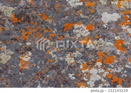 Textured rock surface covered in colorful lichen outdoors 132143229