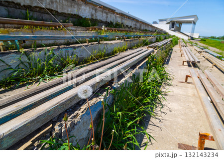 Dandelion growing in overgrown Kok-Boru stadium seating on sunny day 132143234