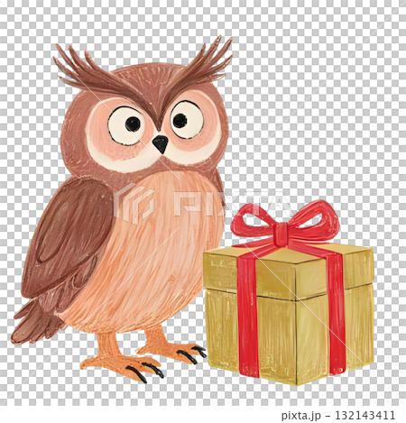 フクロウがプレゼントを持っているイラスト 132143411
