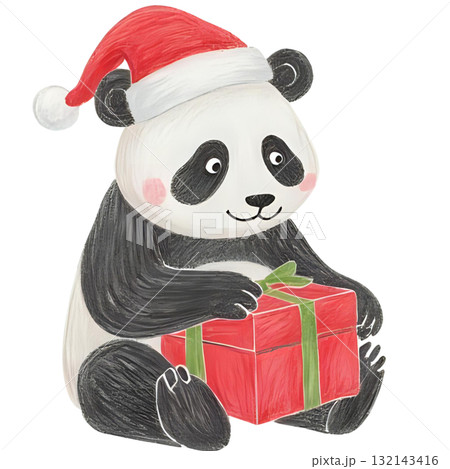 パンダがクリスマスプレゼントを持っている パンダがクリスマスプレゼントを持っている 132143416