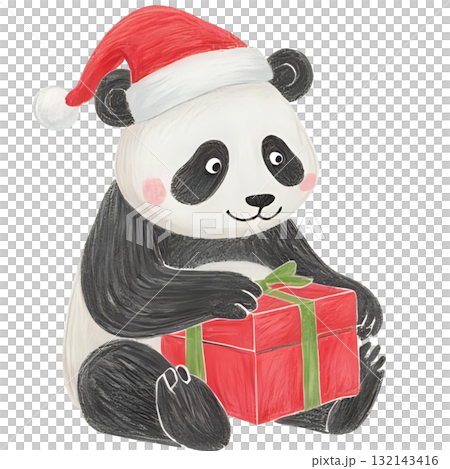 パンダがクリスマスプレゼントを持っている パンダがクリスマスプレゼントを持っている 132143416