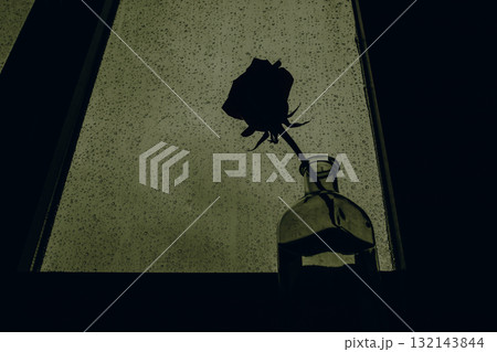 Silhouette of a single rose in a glass vase against a window with raindrops. A moody, artistic shot features a rosebud flower silhouetted against a rain-streaked window Dramatic melancholic atmosphere 132143844