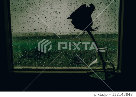 Silhouette of a single rose in a vase against a rainy window. A dark and moody image features a rose silhouette in a vase, set against a window with raindrops, creating a melancholic atmosphere. 132143848
